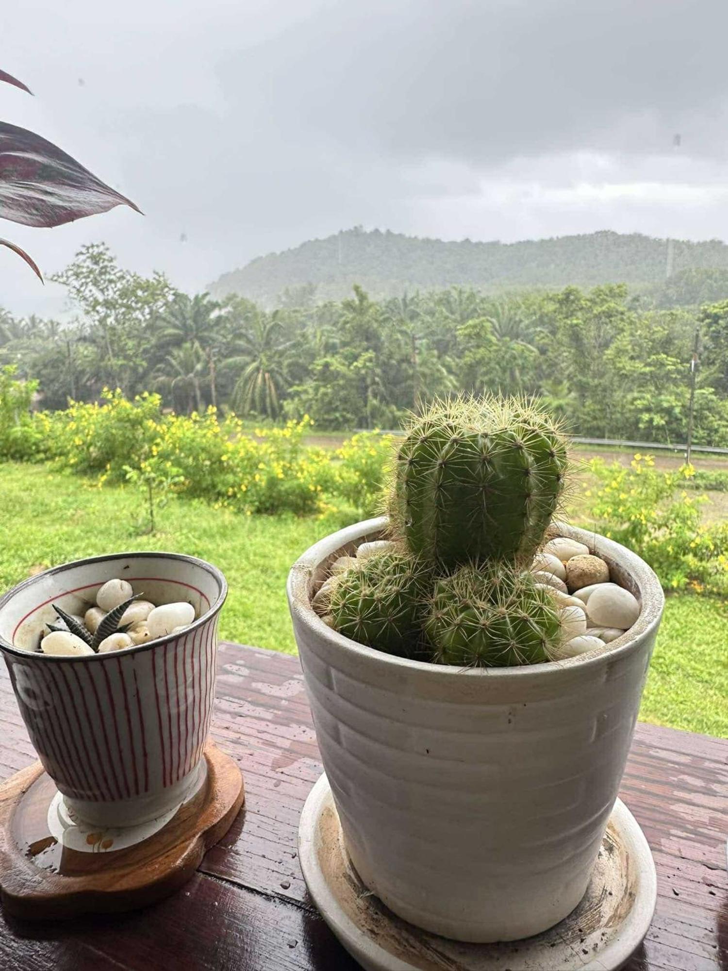 บ้านสวนปิยนันท์ Ko Yao Noi Zewnętrze zdjęcie